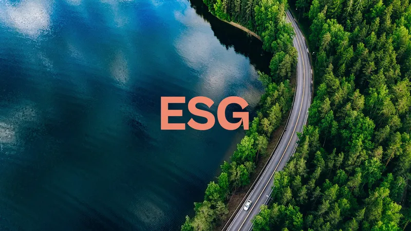 Vad betyder ESG?