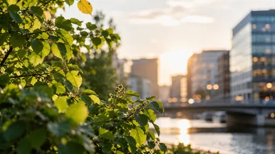 Hållbarhetsförkortningar – vad betyder de?